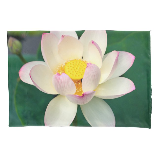 Flowers | Lotus Water Flower Pillow Case (Front)