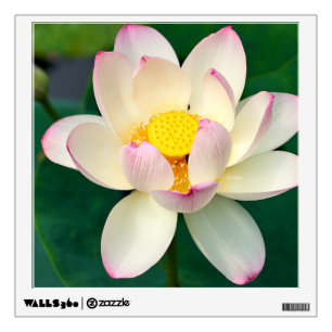 Flowers   Lotus Water Flower Wall Decal
