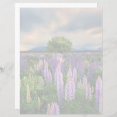 Flowers | Lupine Field in New Zealand (Front/Back)