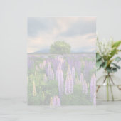 Flowers | Lupine Field in New Zealand (Standing Front)