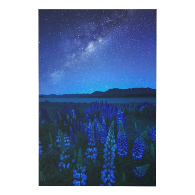 Flowers | Lupines Blooming  at Night Lake Tekapo Faux Canvas Print (Front)
