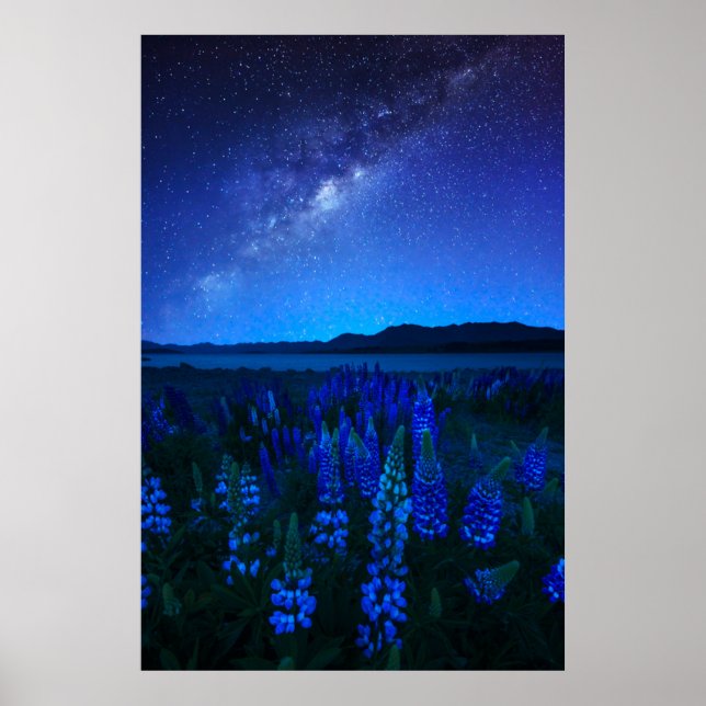 Flowers | Lupines Blooming  at Night Lake Tekapo Poster (Front)