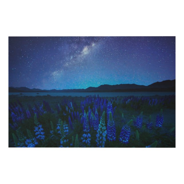 Flowers | Lupines Blooming  at Night Lake Tekapo Wood Wall Art (Front)