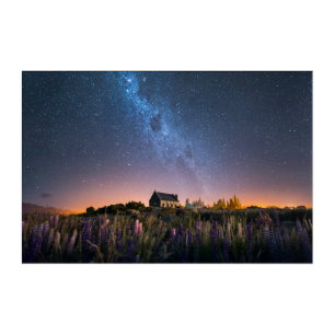 Flowers   Lupines Blooming Lake Tekapo New Zealand Acrylic Print