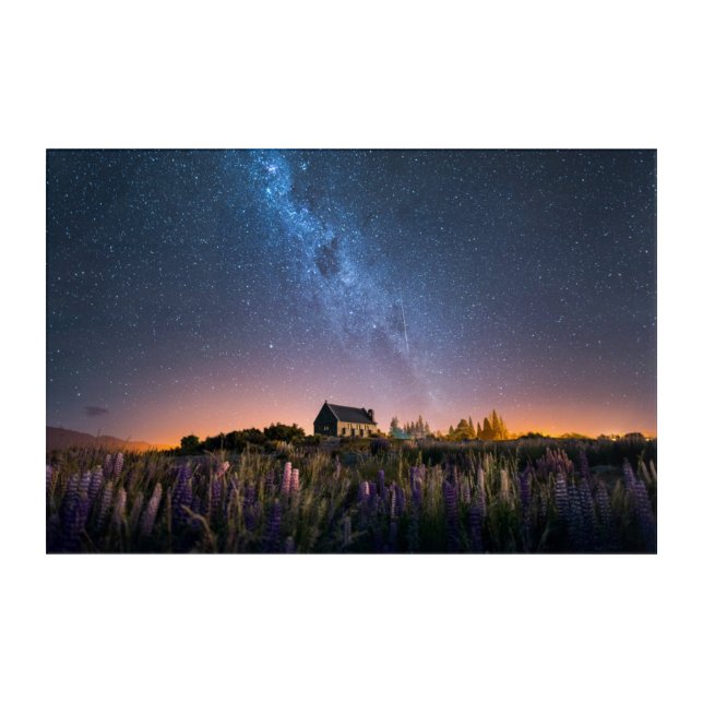 Flowers | Lupines Blooming Lake Tekapo New Zealand Acrylic Print (Front)