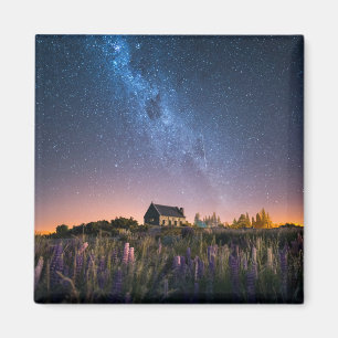 Flowers   Lupines Blooming Lake Tekapo New Zealand Magnet