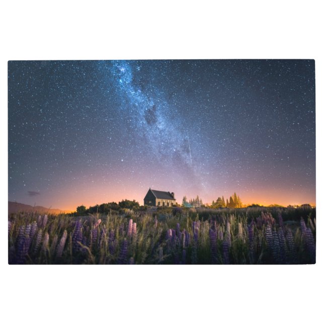 Flowers | Lupines Blooming Lake Tekapo New Zealand Metal Print (Front)
