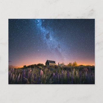 Flowers | Lupines Blooming Lake Tekapo New Zealand Postcard by intothewild at Zazzle