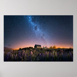 Flowers   Lupines Blooming Lake Tekapo New Zealand Poster