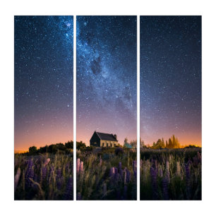 Flowers   Lupines Blooming Lake Tekapo New Zealand Triptych