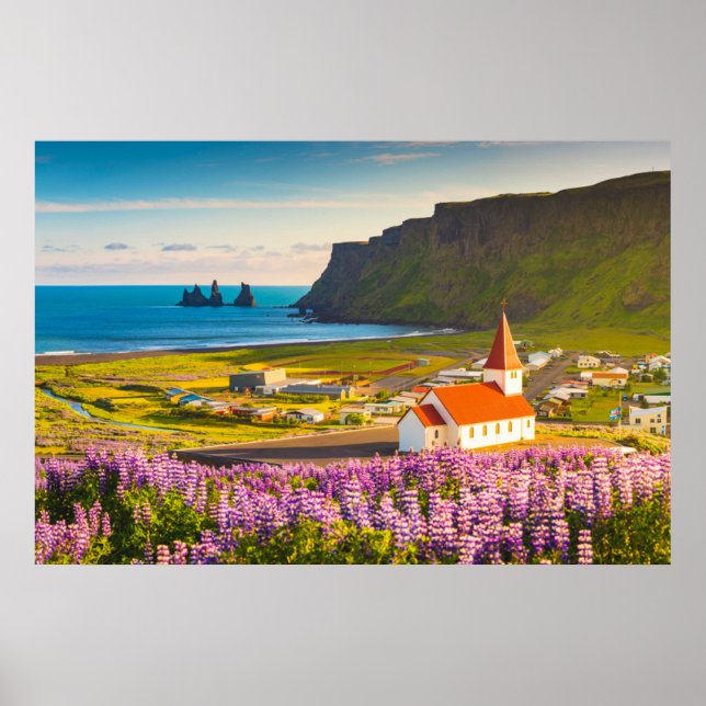 Flowers | Lupines in Bloom Southern Iceland Poster (Front)