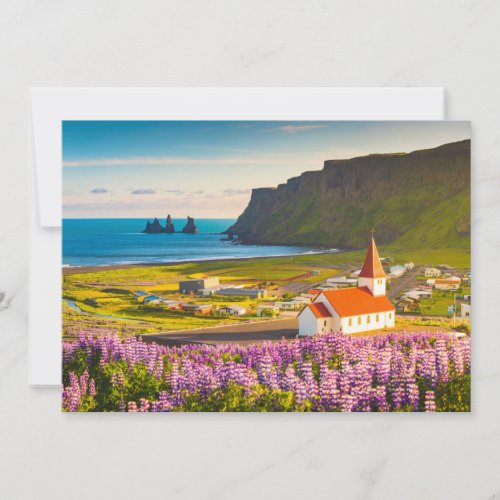 Flowers  Lupines in Bloom Southern Iceland Thank You Card