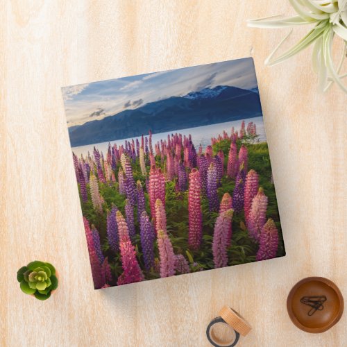 Flowers  Lupines New Zealand 3 Ring Binder