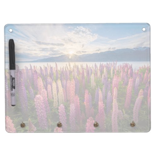 Flowers  Lupines New Zealand Dry Erase Board With Keychain Holder