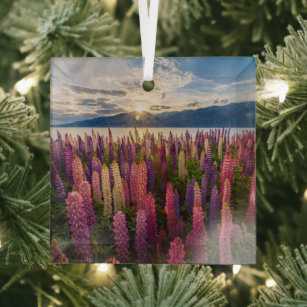 Flowers   Lupines New Zealand Glass Ornament