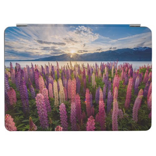 Flowers  Lupines New Zealand iPad Air Cover