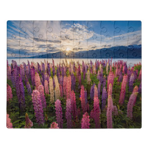 Flowers   Lupines New Zealand Jigsaw Puzzle