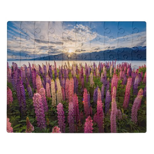 Flowers  Lupines New Zealand Jigsaw Puzzle