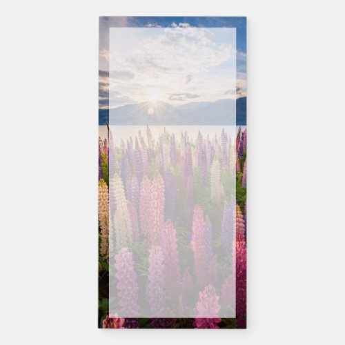 Flowers  Lupines New Zealand Magnetic Notepad