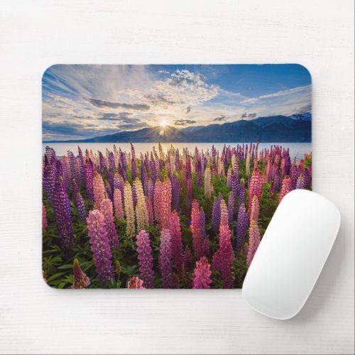 Flowers  Lupines New Zealand Mouse Pad