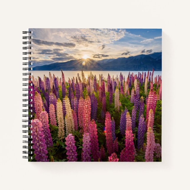 Flowers | Lupines New Zealand Notebook (Front)