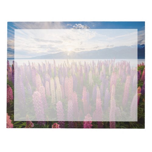 Flowers  Lupines New Zealand Notepad