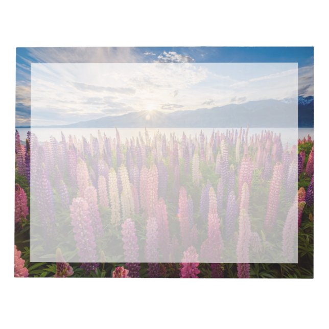 Flowers | Lupines New Zealand Notepad (Front)