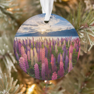 Flowers Lupines New Zealand Ornament