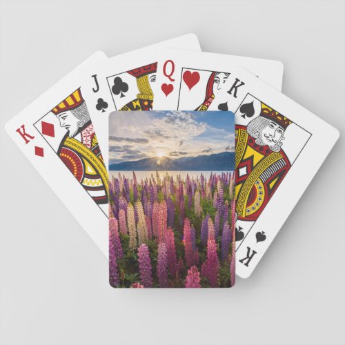 Flowers  Lupines New Zealand Playing Cards
