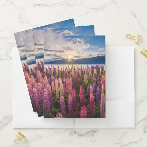 Flowers  Lupines New Zealand Pocket Folder