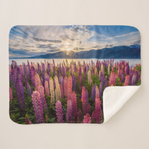 Flowers Lupines New Zealand Sherpa Blanket