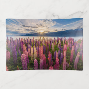 Flowers Lupines New Zealand Trinket Tray