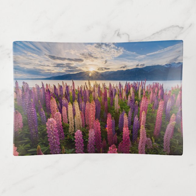 Flowers | Lupines New Zealand Trinket Tray (Front)