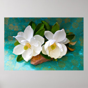 Flowers   Magnolia Flower Poster