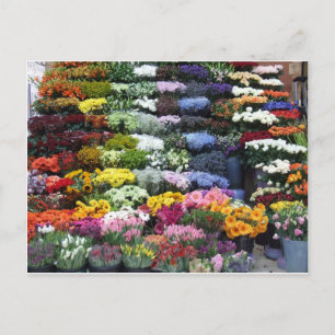 Flowers market postcard
