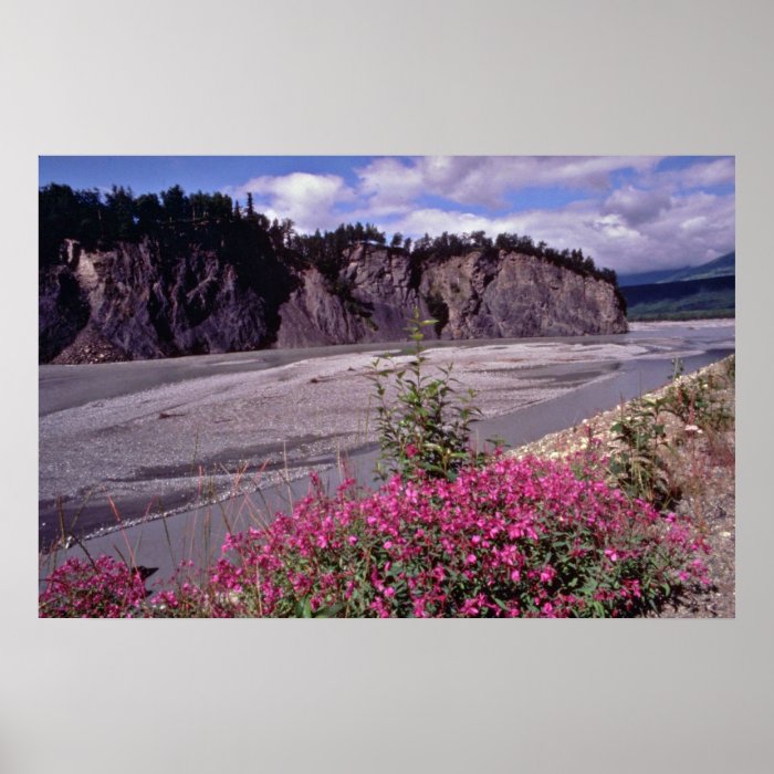 Flowers, Matanushka Valley, Alaska Pink flowers Print