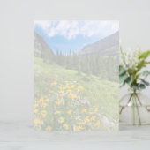 Flowers | Montana Flower Path (Standing Front)