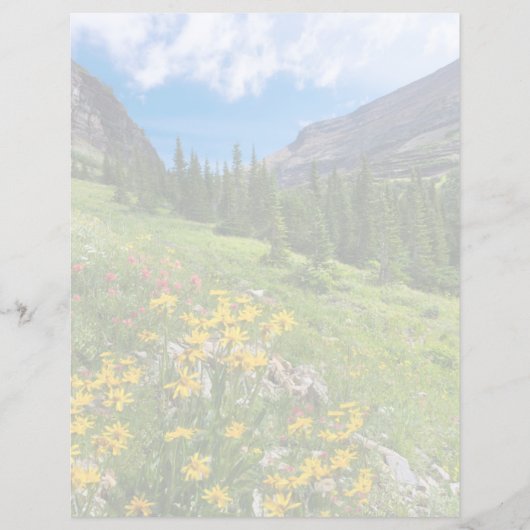 Flowers | Montana Flower Path (Front)