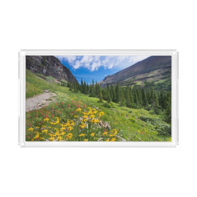 Flowers | Montana Flower Path Acrylic Tray (Front)