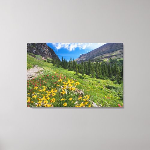 Flowers  Montana Flower Path Canvas Print