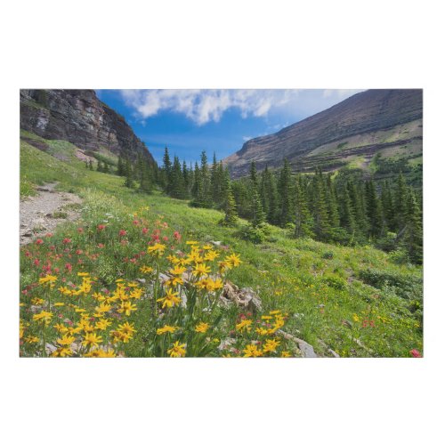 Flowers  Montana Flower Path Faux Canvas Print