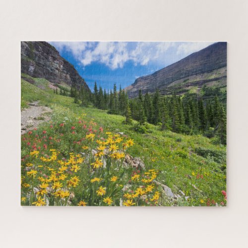 Flowers  Montana Flower Path Jigsaw Puzzle