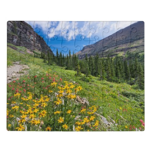 Flowers  Montana Flower Path Jigsaw Puzzle