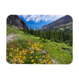Flowers   Montana Flower Path Magnet