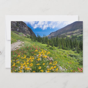Flowers Montana Flower Path Thank You Card