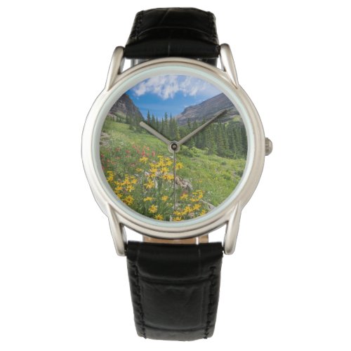 Flowers  Montana Flower Path Watch