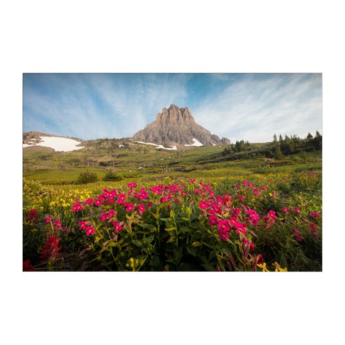 Flowers  Montanas Glacier National Park Acrylic Print