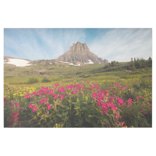 Flowers  Montanas Glacier National Park Gallery Wrap