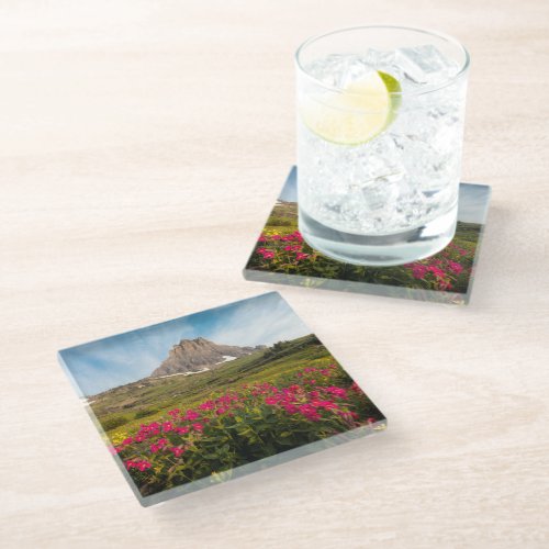 Flowers  Montanas Glacier National Park Glass Coaster