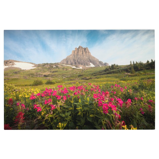 Flowers | Montana's Glacier National Park Metal Print (Front)